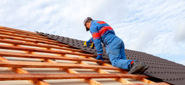 Best Asphalt Shingle Roofing  in West Memphis, AR